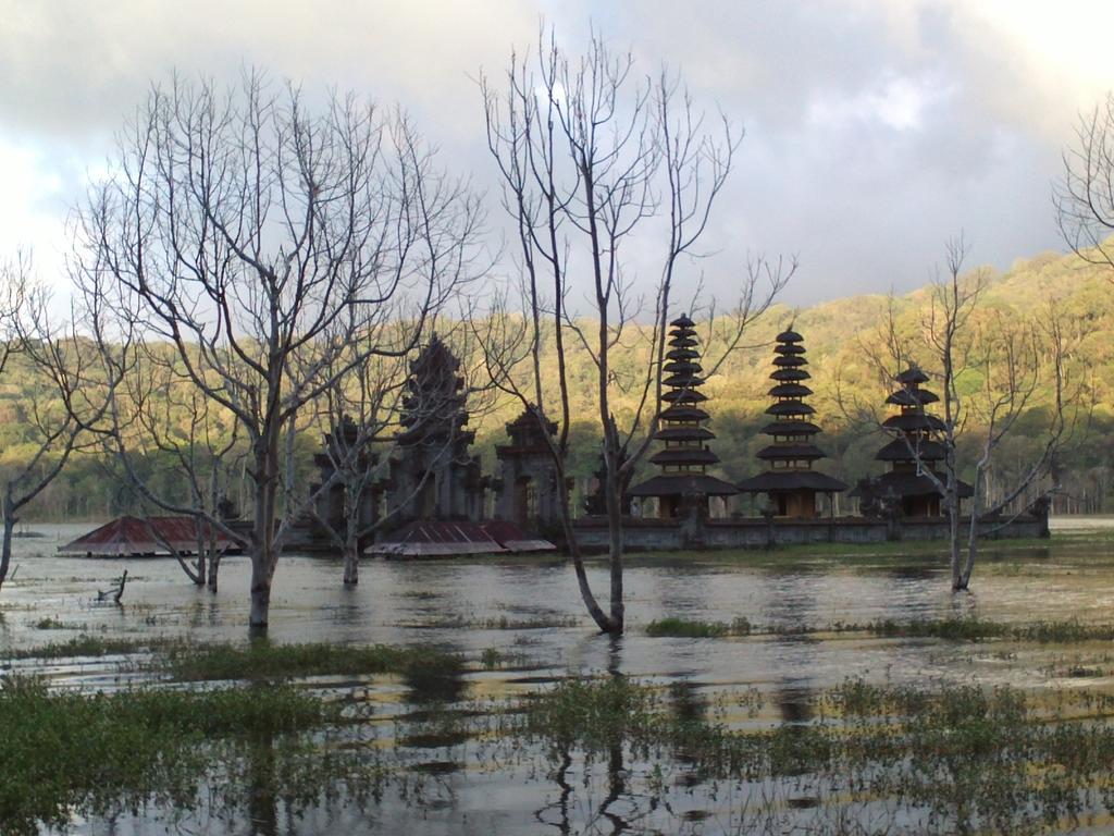 Bali Natural Homestay Jimbaran Esterno foto